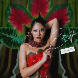 Zaynara – Sou do Norte