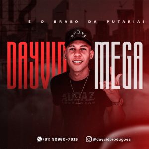 DJ Dayvid Mega – Solinho Enjoado 2.0
