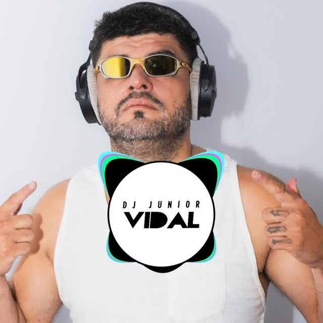 DJ Junior Vidal – Gostosin